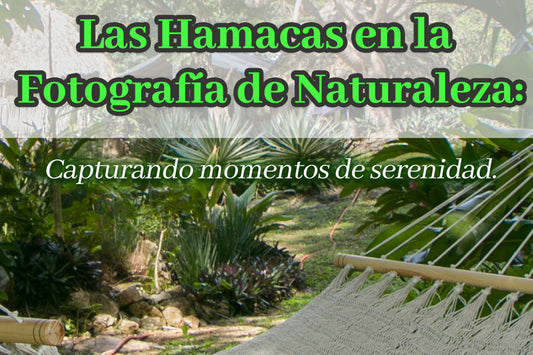 Las Hamacas en la Fotografía de Naturaleza: Capturando Momentos de Serenidad