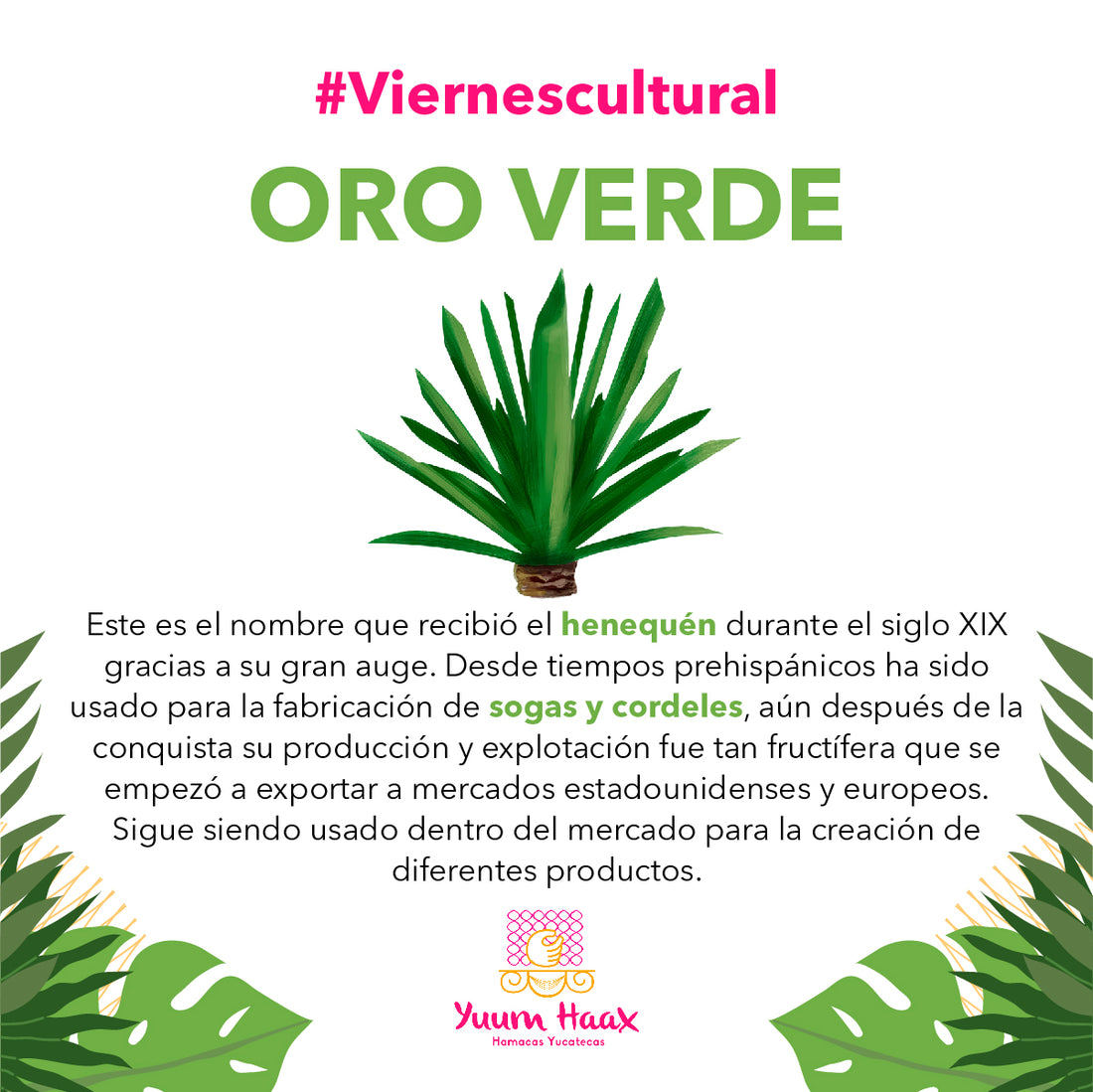El Oro Verde