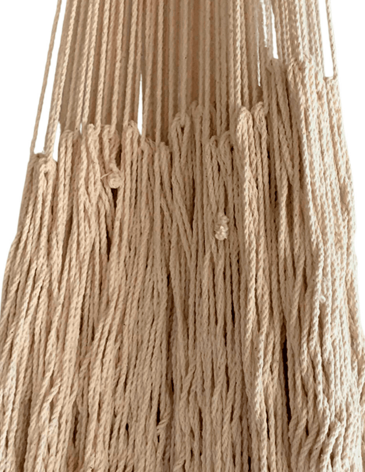 Abigail Hammock