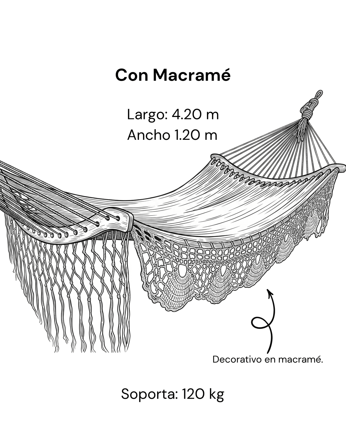 Curve