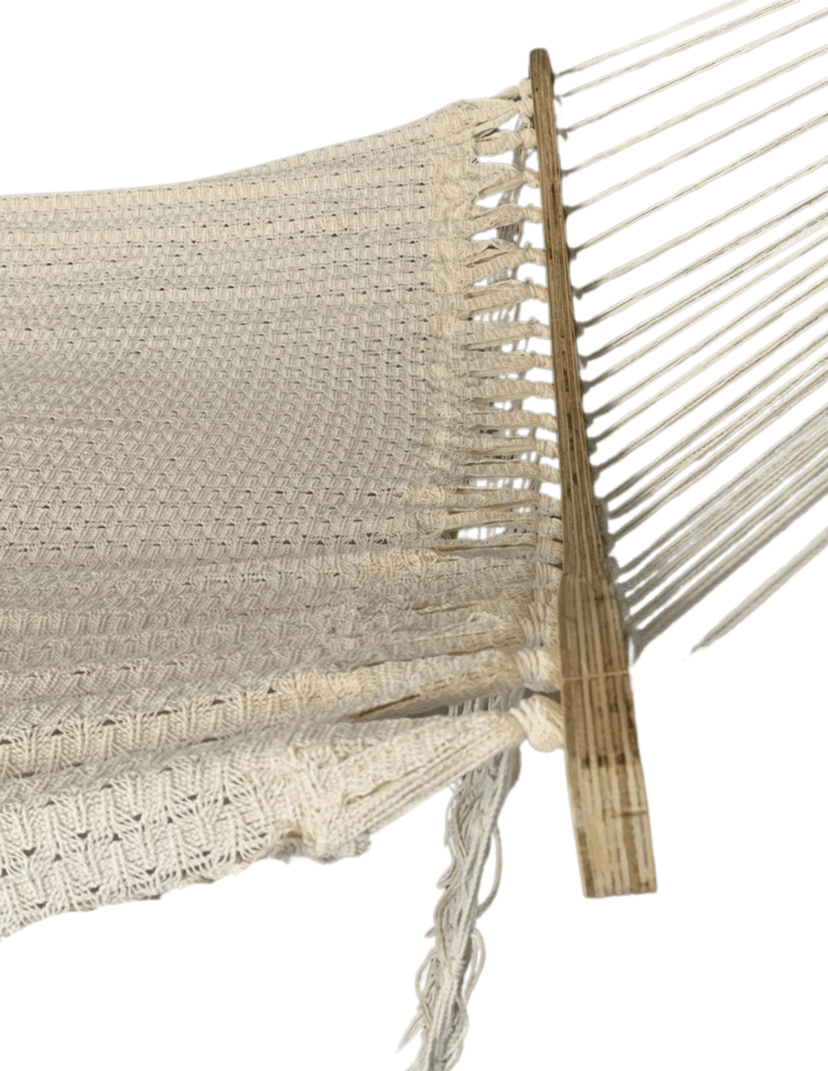 Cloth Curve
