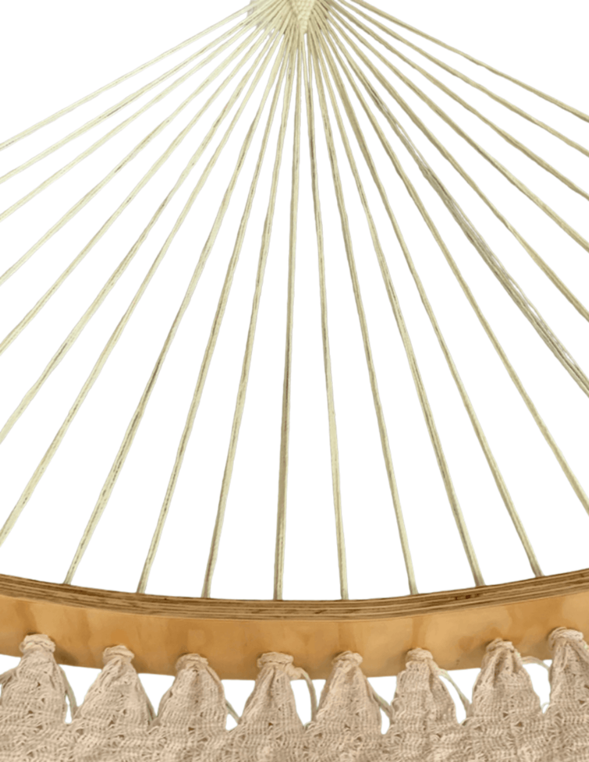 Cloth Curve