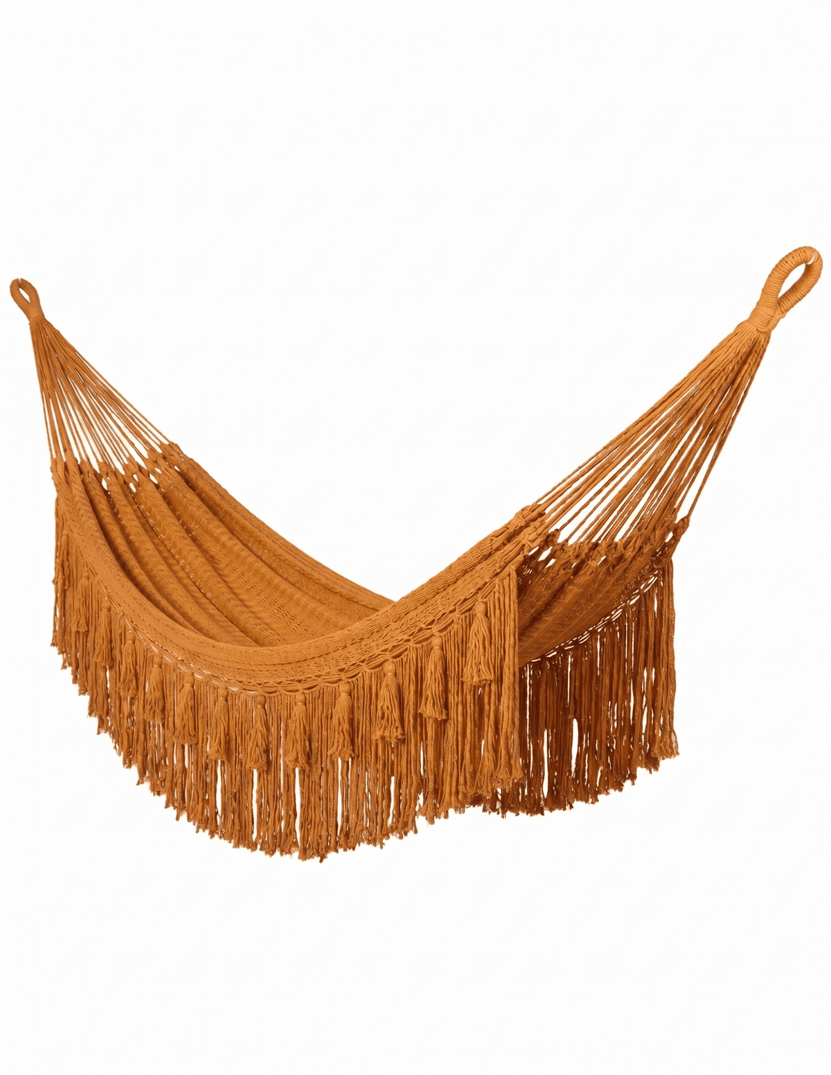 Abigail Hammock