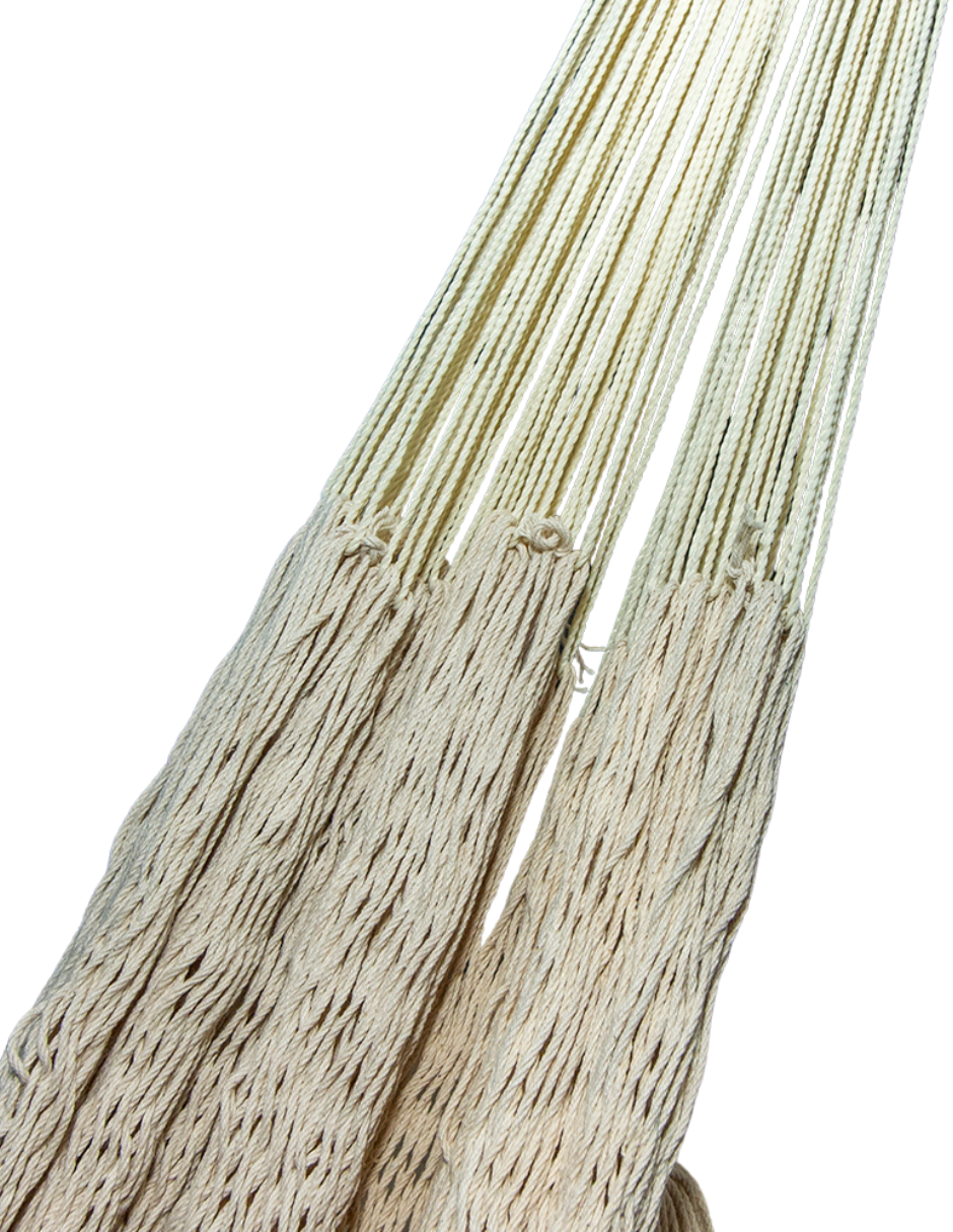 Lily hammock