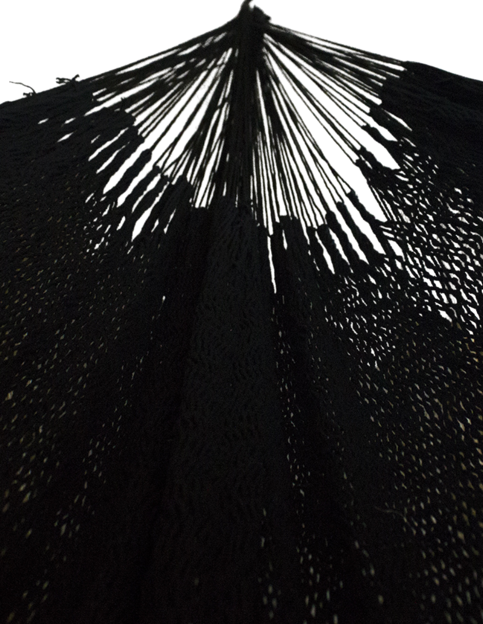 Flora Hammock