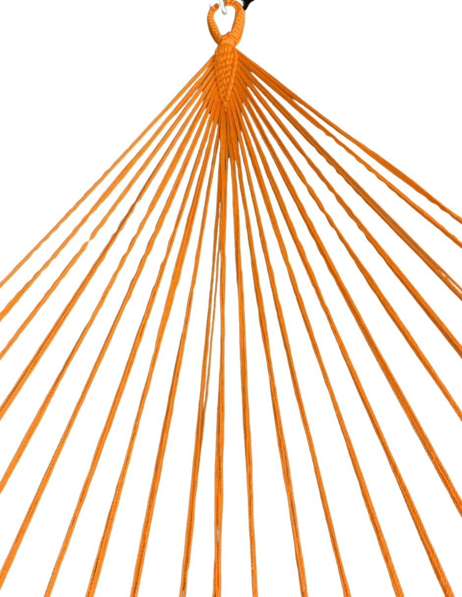 Curve