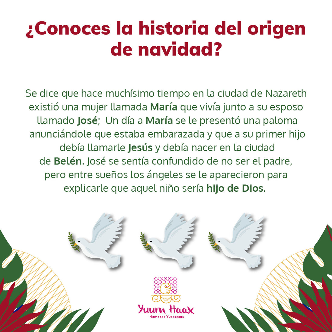 ¿Conoces la Historia de Navidad?