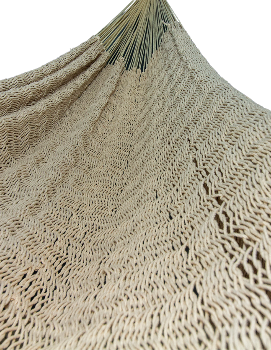 Elena Hammock