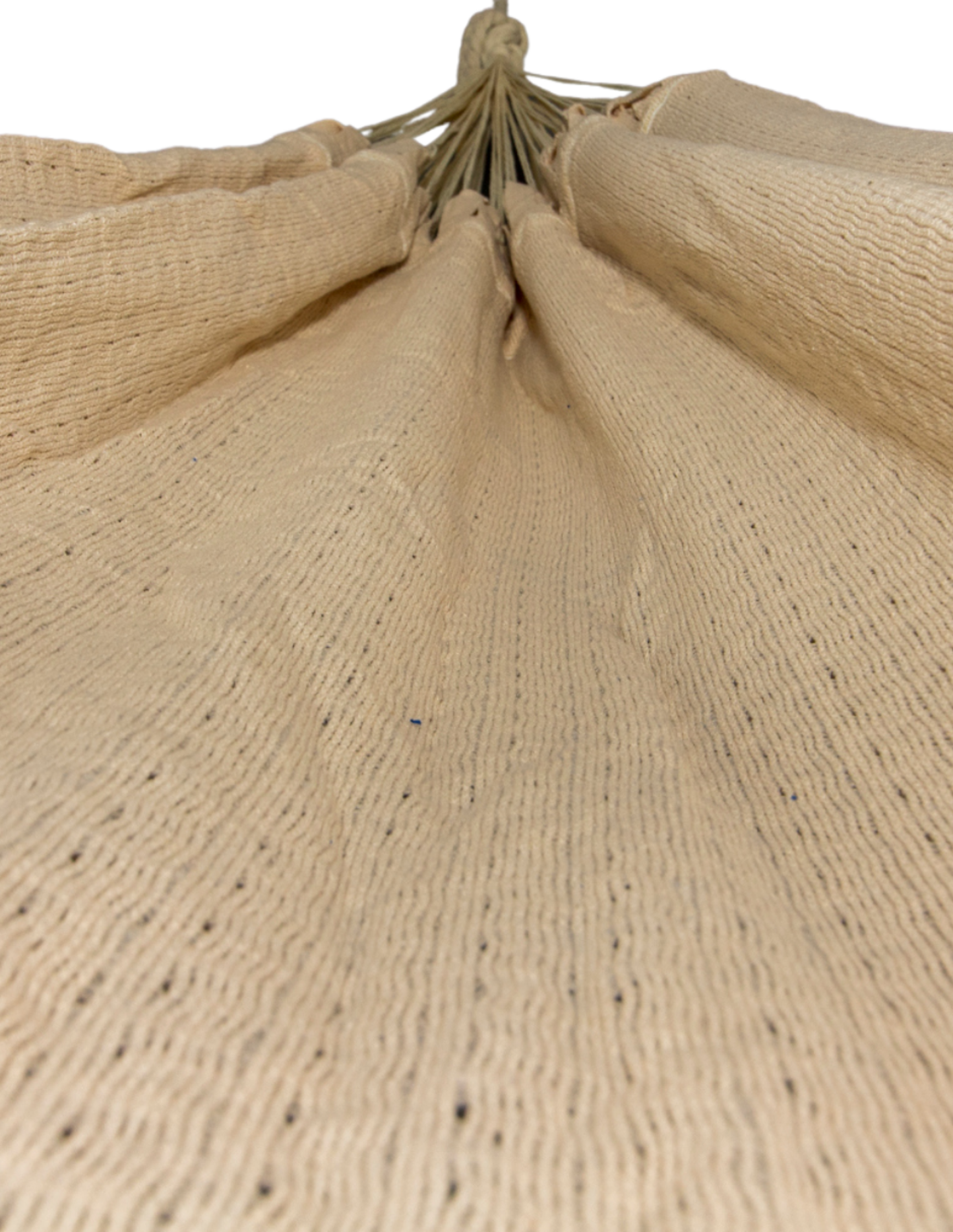 Standard Hammock